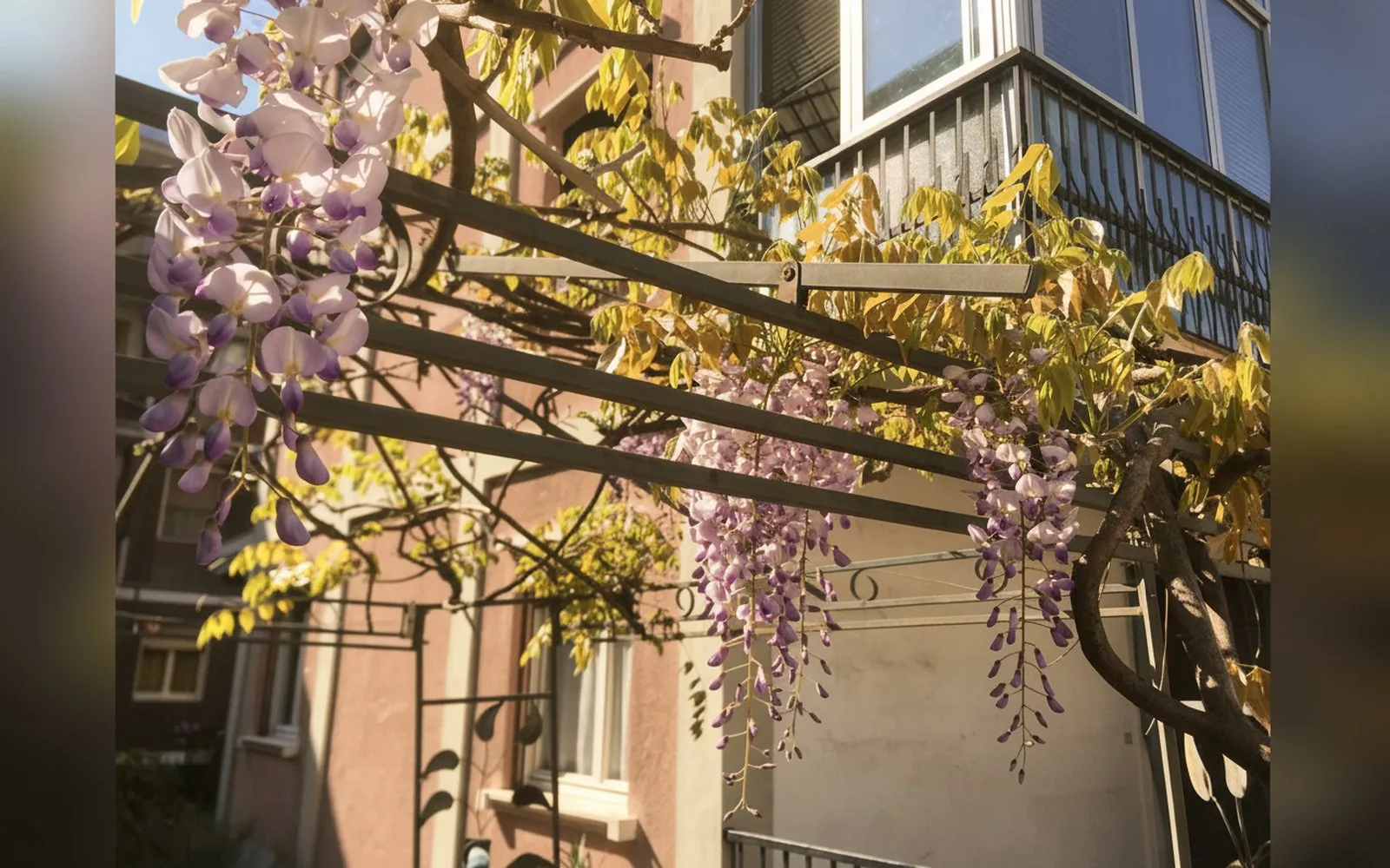 Camera Il Broletto B&B,  (foto 4)